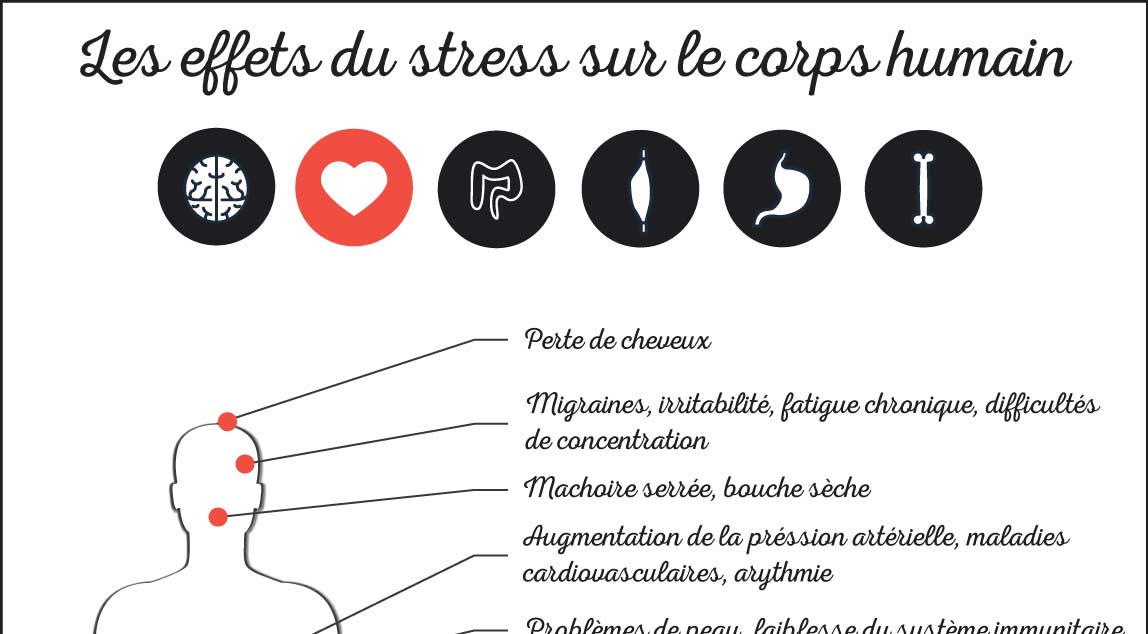 Les effets du stress sur le corps humain (INFOGRAPHIE)