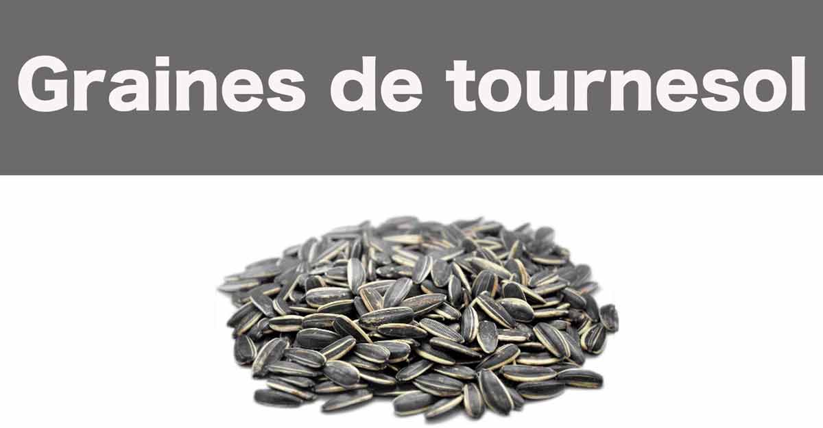 graines de tournesol