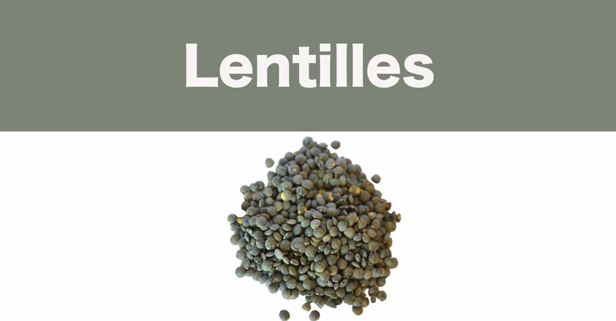 lentilles