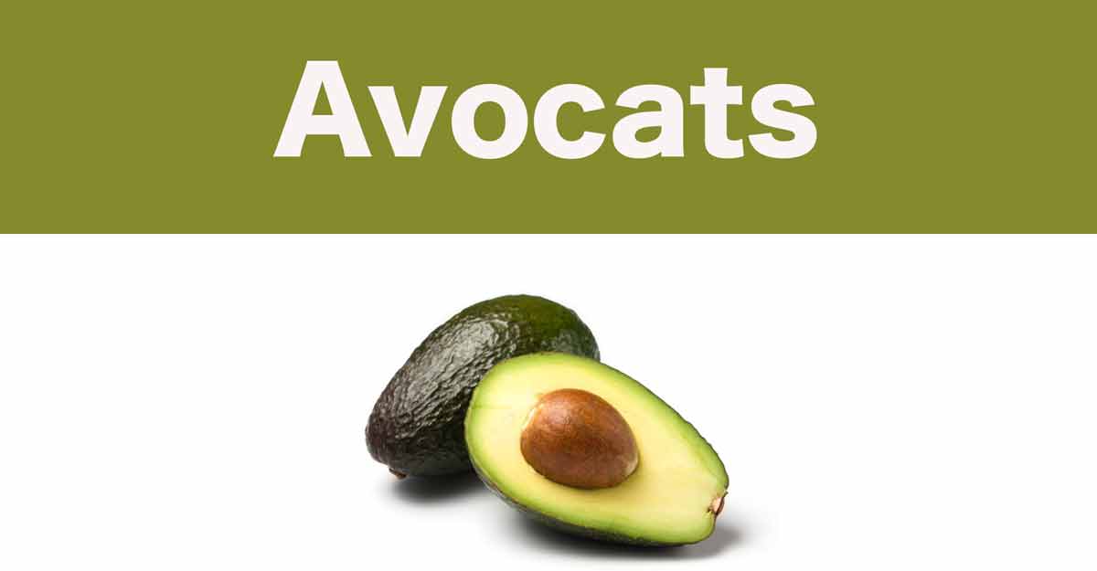 avocat