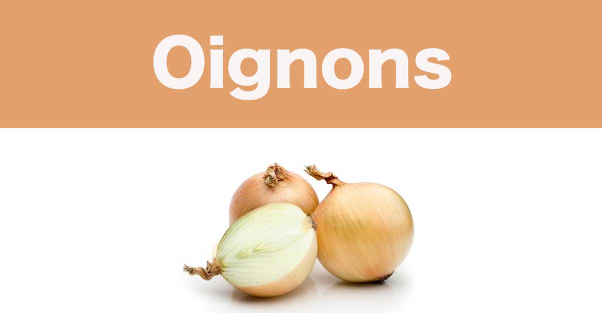 oignons