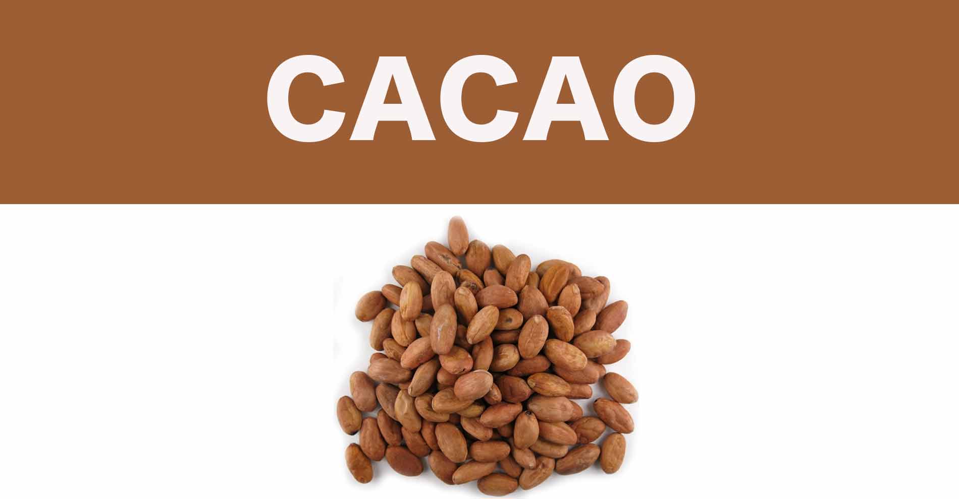 cacao