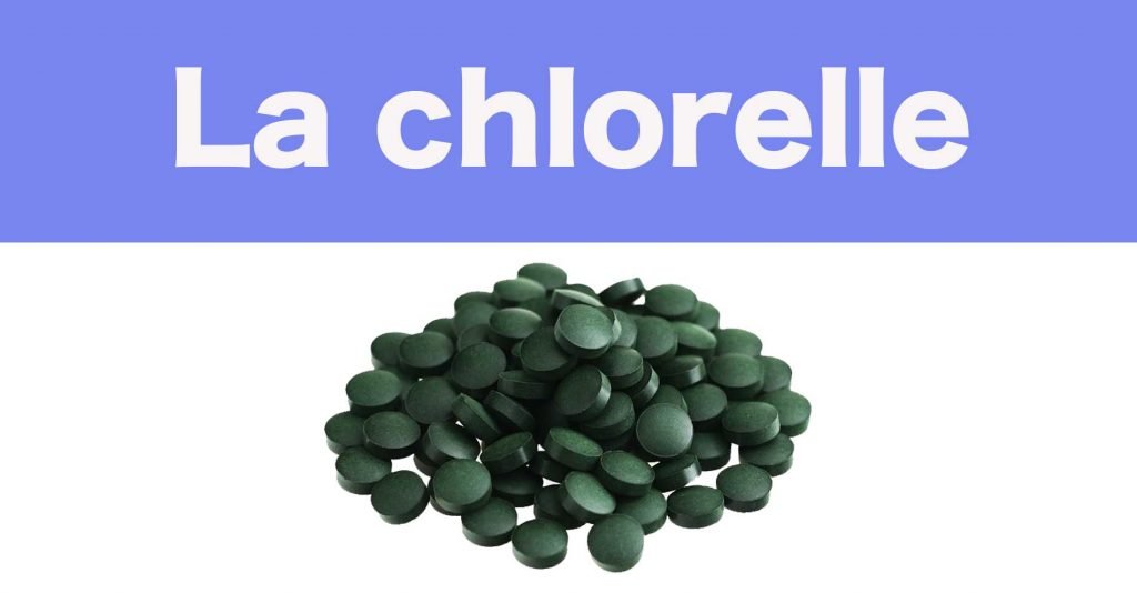 La chlorelle, super algue comestible