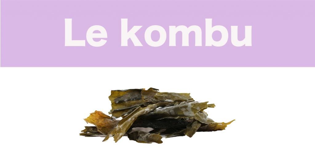 Le kombu, super algue comestible